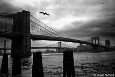 brooklyn bridge photo